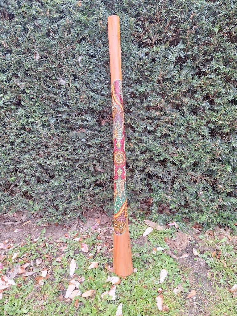 Prachtig handgeschilderd didgeridoo, Muziek en Instrumenten, Blaasinstrumenten | Didgeridoos, Ophalen, Gebruikt