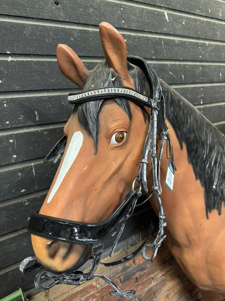 Anatomisch QHP hoofdstel Eris inclusief teugels  maat full, Ophalen of Verzenden