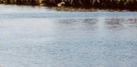 woningruil, Huis en Inrichting, Overige Huis en Inrichting, Ophalen, Zo goed als nieuw