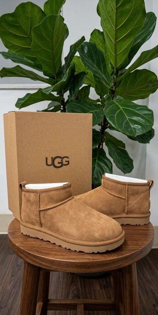 UGG Ultra Mini Chestnut Boots – Nieuw in doos, UGG, Bruin, Lage of Enkellaarzen, Nieuw