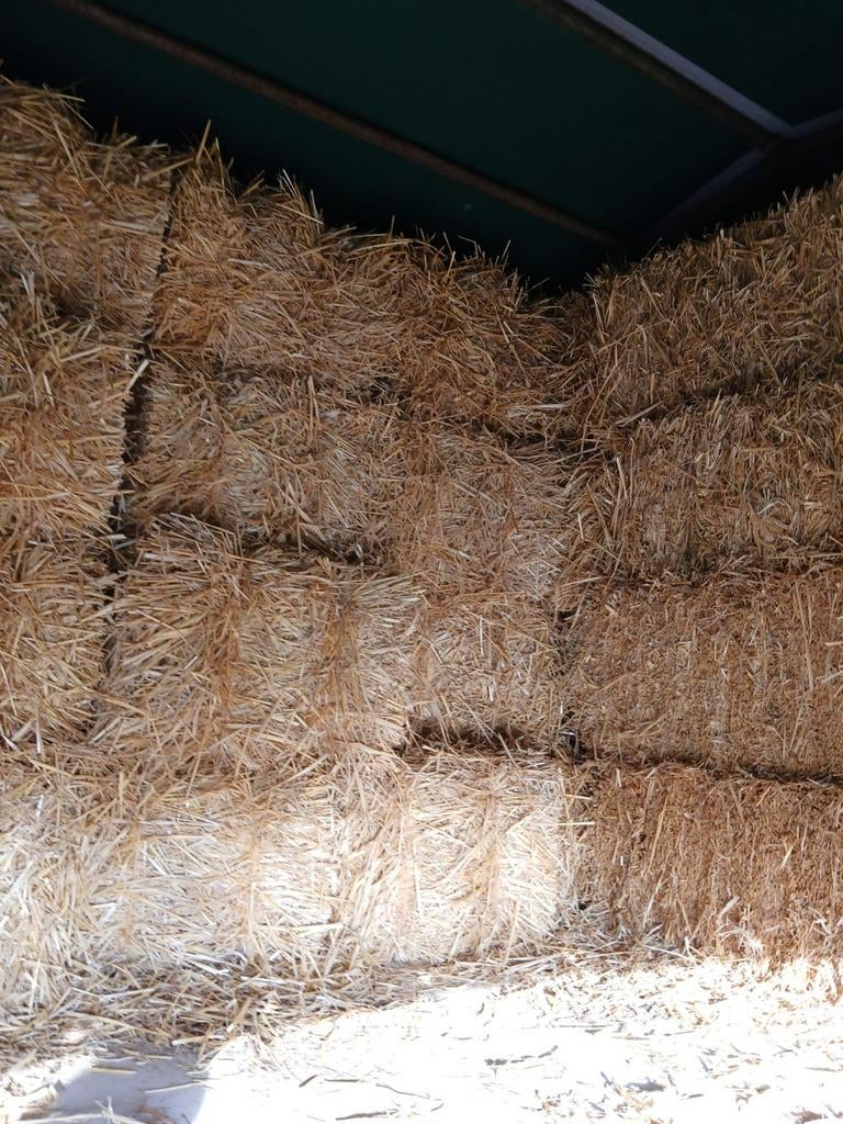 Kleine balen goudgeel stro., Dieren en Toebehoren, Ophalen, Vee