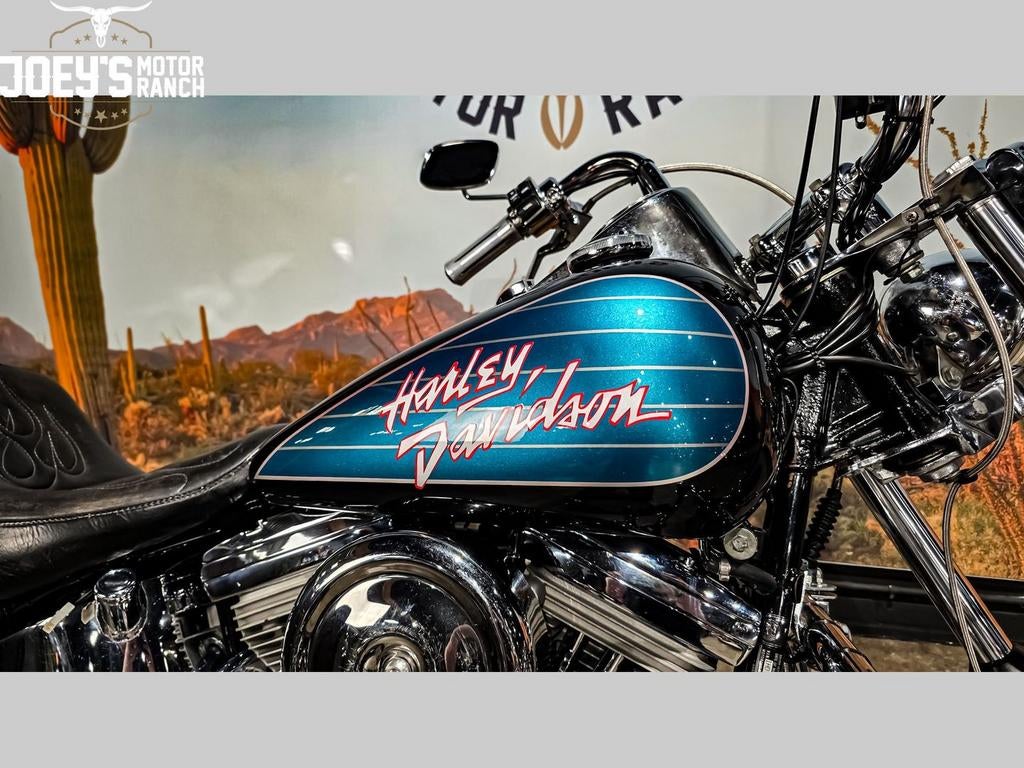 HARLEY-DAVIDSON SOFTAIL STANDARD FXST CUSTOM (bj 1989), 2 cilinders, 1338 cc, HARLEY-DAVIDSON, Bedrijf