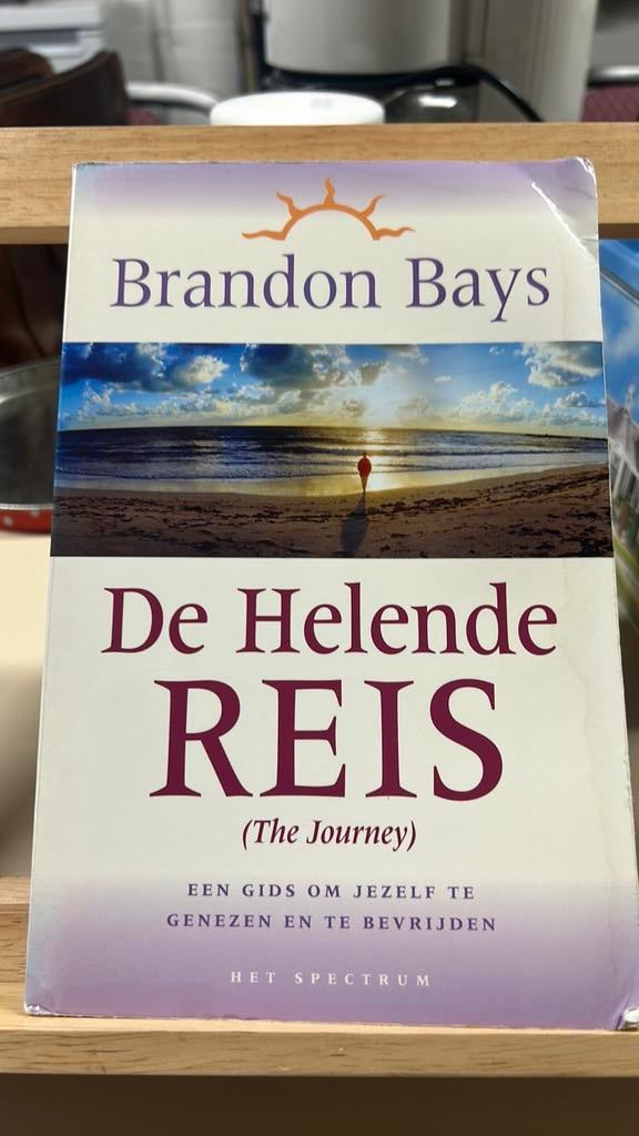 Brandon Bays - De helende reis, Ophalen, Zo goed als nieuw, Brandon Bays