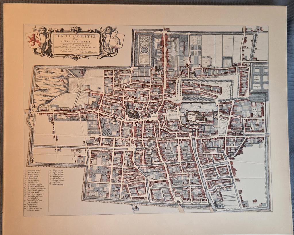 Reproductie Joh. Blaeu, ’s Gravenhage, 1649, Voor 1800, Overige typen, Ophalen of Verzenden, Zo goed als nieuw