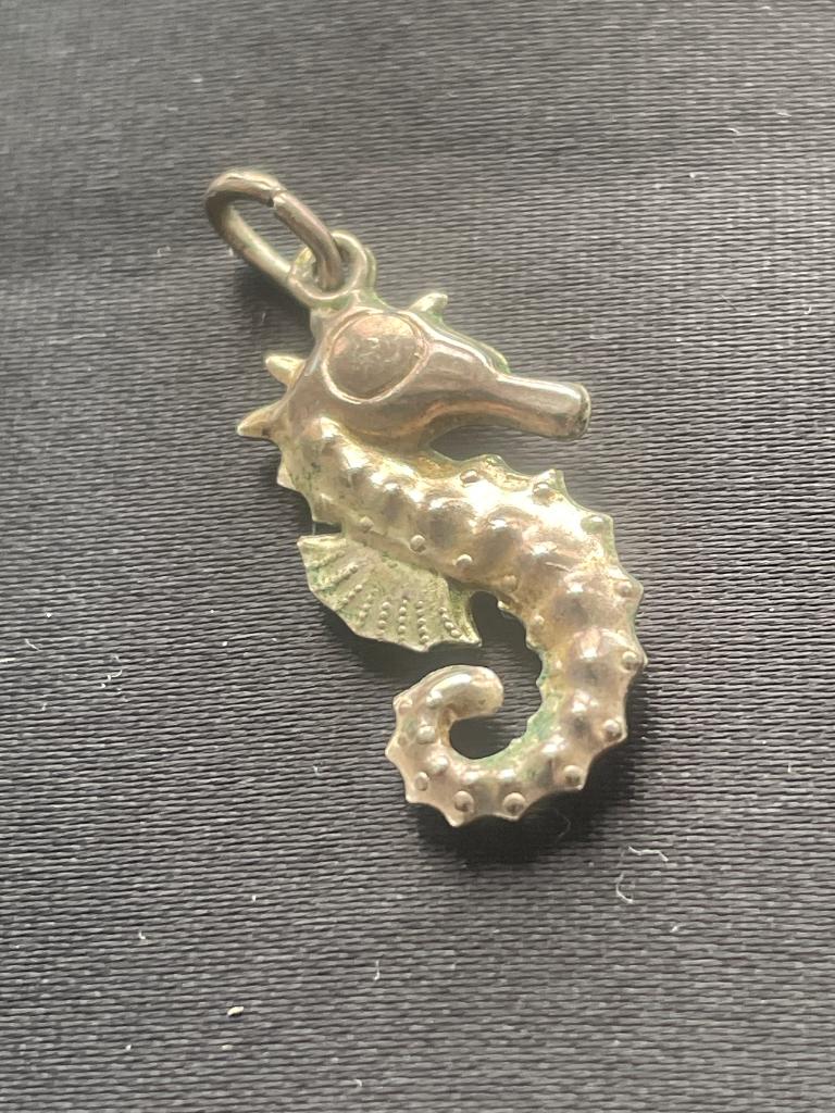 zilveren bedeltje zeepaardje, Ophalen of Verzenden, Zilver, Overige merken