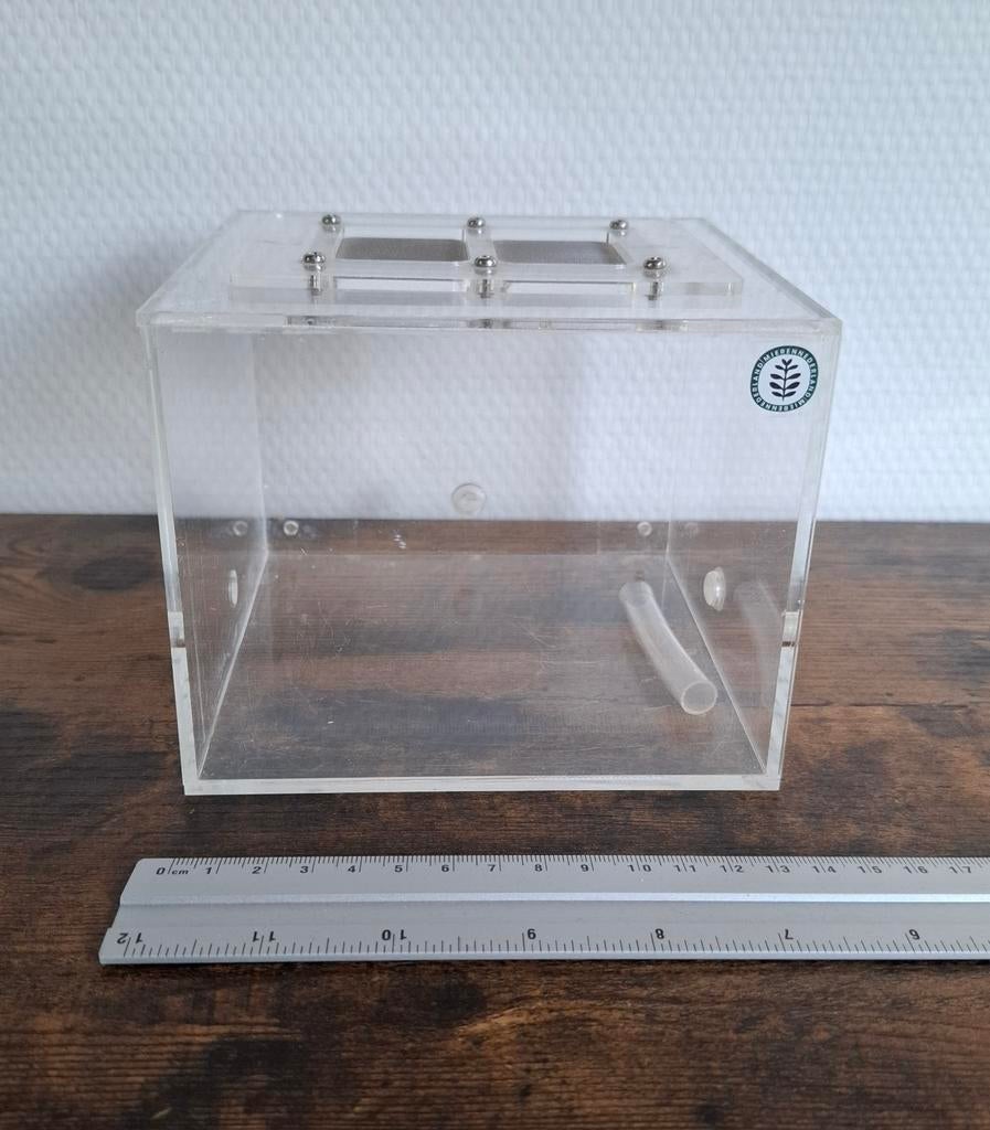 Grote arena ca. 15×15×15, buitenwereld, mieren 10mm ingang, Mieren