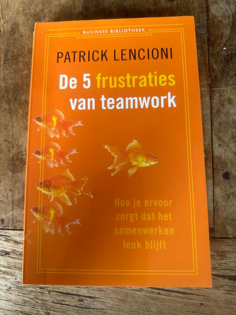 De 5 frustraties van teamwork - Patrick Lencioni, Boeken, Ophalen of Verzenden, Gelezen, Management