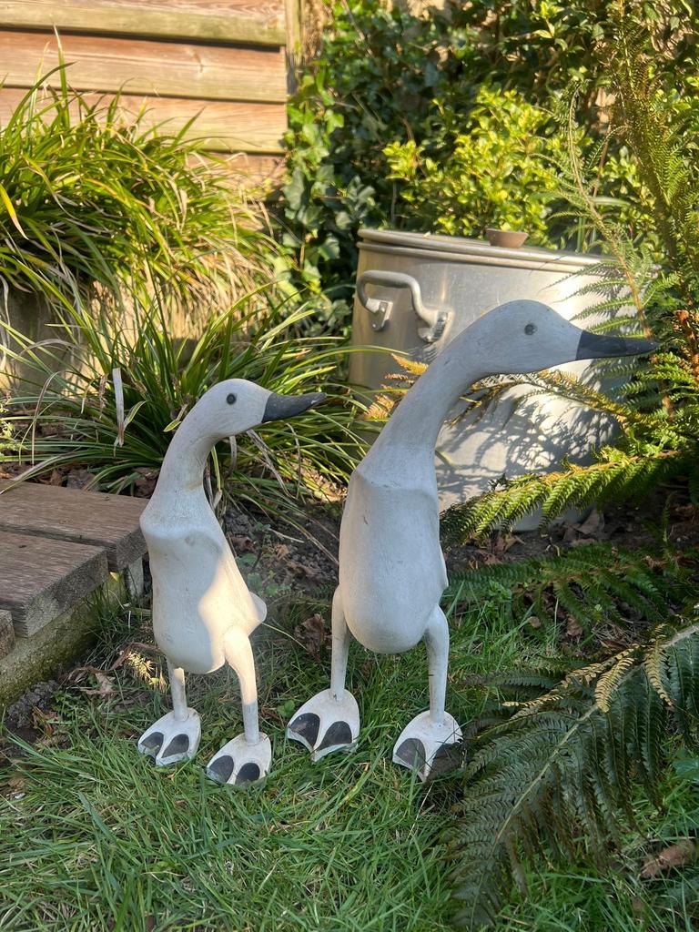 Houten eenden voor binnen, Ophalen, Zo goed als nieuw