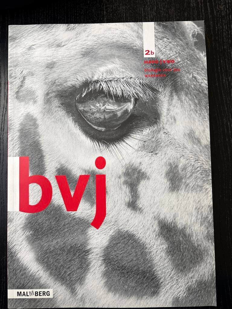 bvj 2b Malmberg HAVO/VWO geschiedenis werkboek, Boeken, Ophalen of Verzenden, Gelezen, HAVO, Geschiedenis