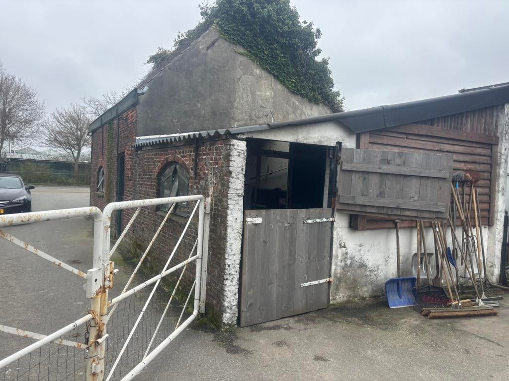 Te huur 3 paarden boxen