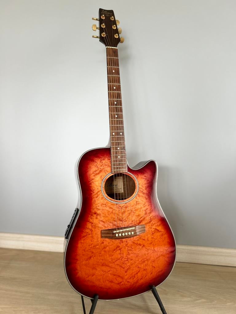 Alliance VP semi akoestische gitaar ‘90, Ophalen, Zo goed als nieuw, Western- of Steelstringgitaar