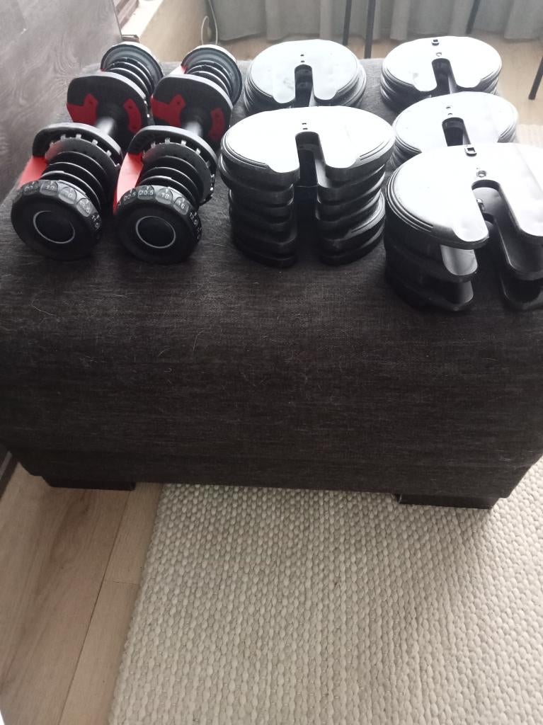 Set van 2 verstelbare dumbbells 40 kg., Sport en Fitness, Fitnessmaterialen, Ophalen, Zo goed als nieuw, Dumbbell