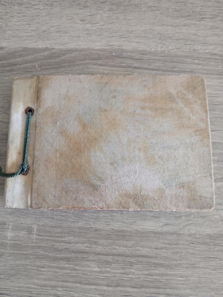 Souvenirboekje met droogbloemen 1925, Ophalen of Verzenden