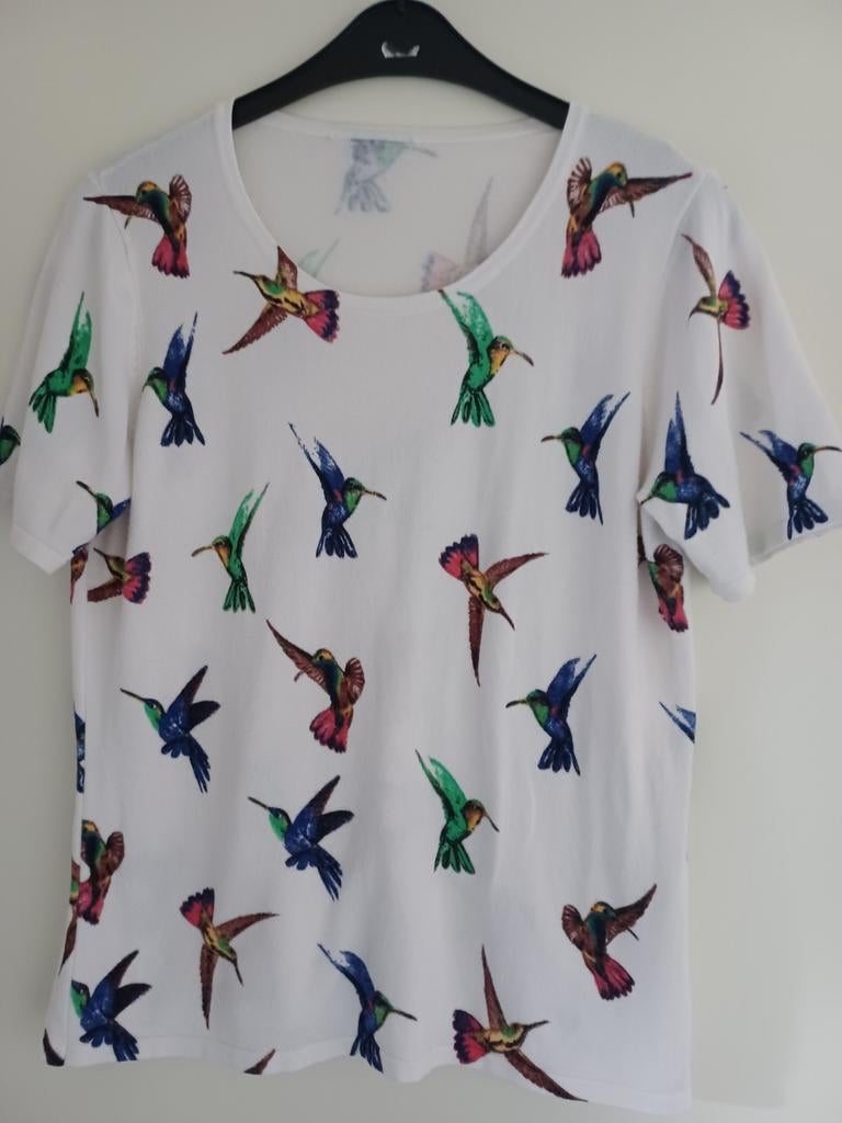 T shirt ong maat 40 ( 42), Kleding | Dames, Maat 38/40 (M), Passioni, Beige, Ophalen of Verzenden