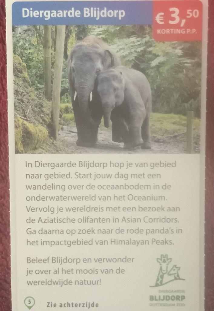 Diergaarde Blijdorp Dierentuin Rotterdam Voordeelbon, Tickets en Kaartjes, Drie personen of meer, Dierentuinbon