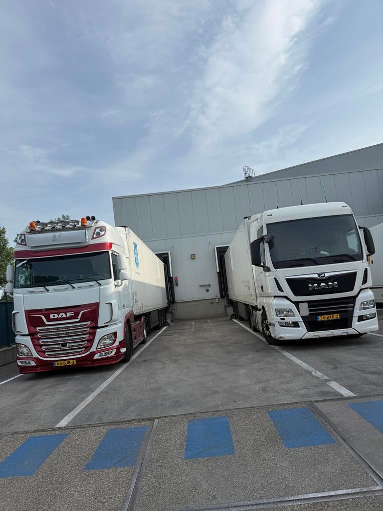 Looking for ce driver/Gezocht: Internationaal CE Chauffeur, Vacatures, Vacatures | Chauffeurs, Overige uren, Overige niveaus, Vanaf 3 jaar