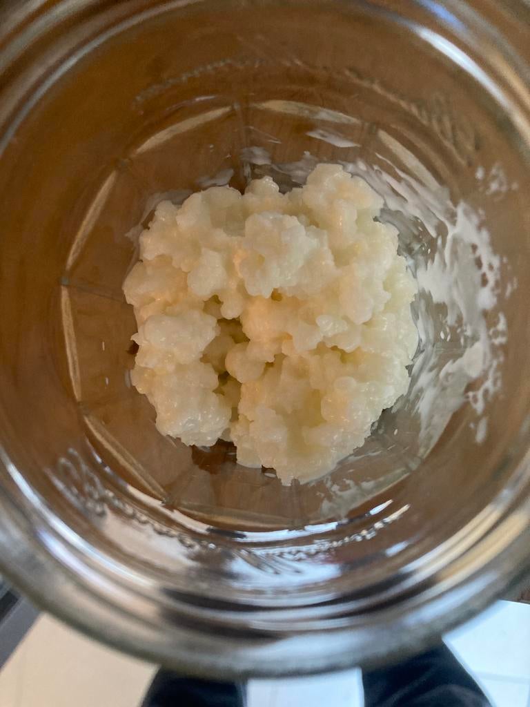 Melk kefir korrels, Ophalen of Verzenden