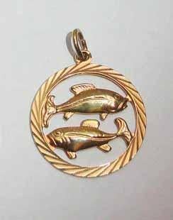 Hanger sterrenbeeld Vissen doublé, Overige materialen, Nieuw, Ophalen of Verzenden, Kruis of Symbool