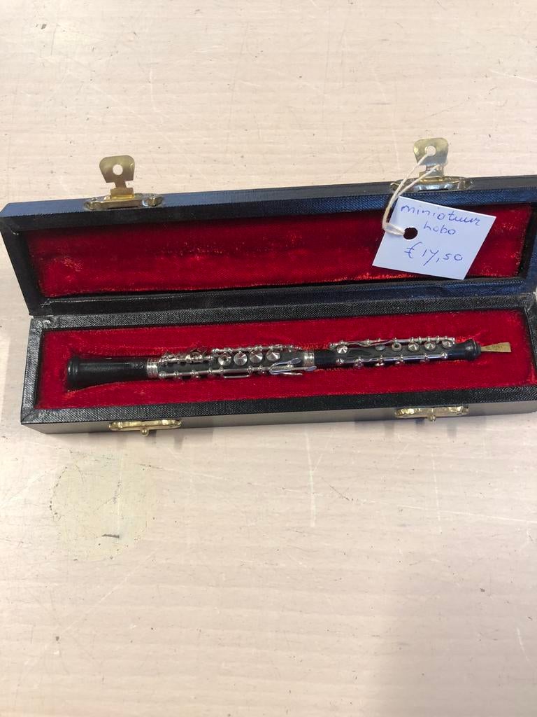 Mini hobo instrument, Ophalen, Gebruikt, Met koffer of tas