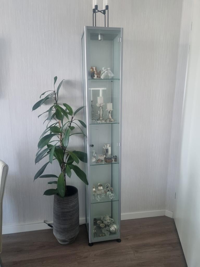 Glazen vitrinekast met verlichting, Ophalen, 25 tot 50 cm, 50 tot 100 cm, 150 tot 200 cm