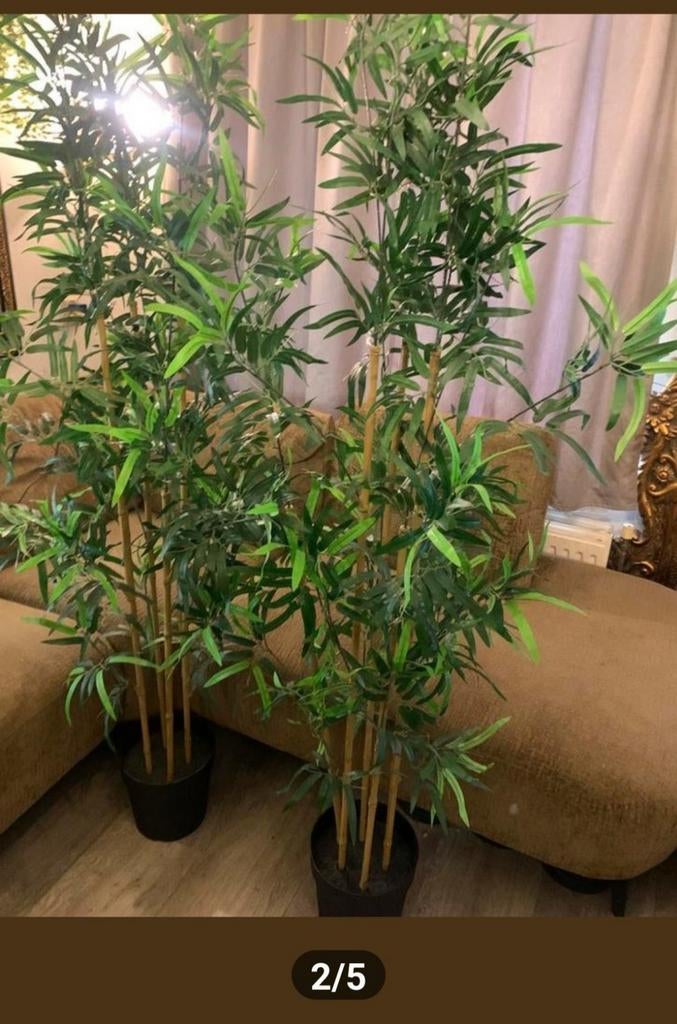 GEZOCHT; Grote kunstplant., Ophalen, Overige soorten