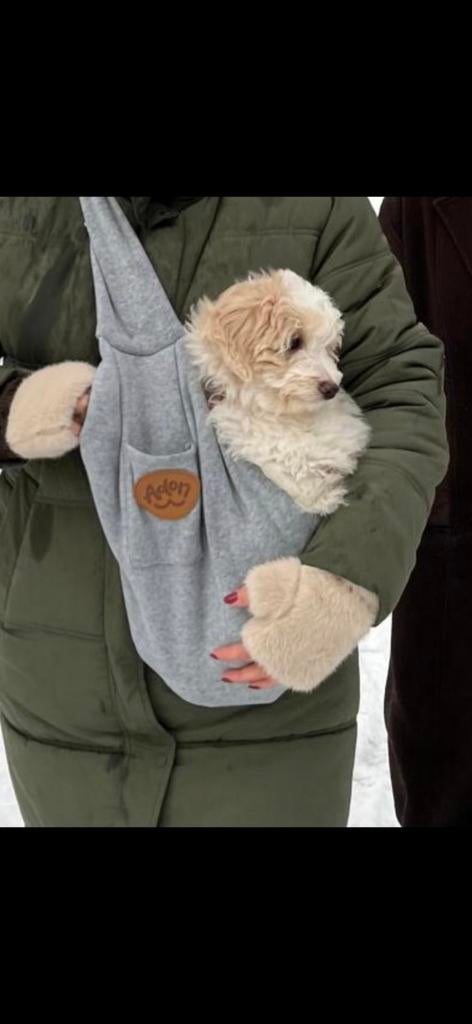 Adori draagzak hond. Zgan, Ophalen, Zo goed als nieuw