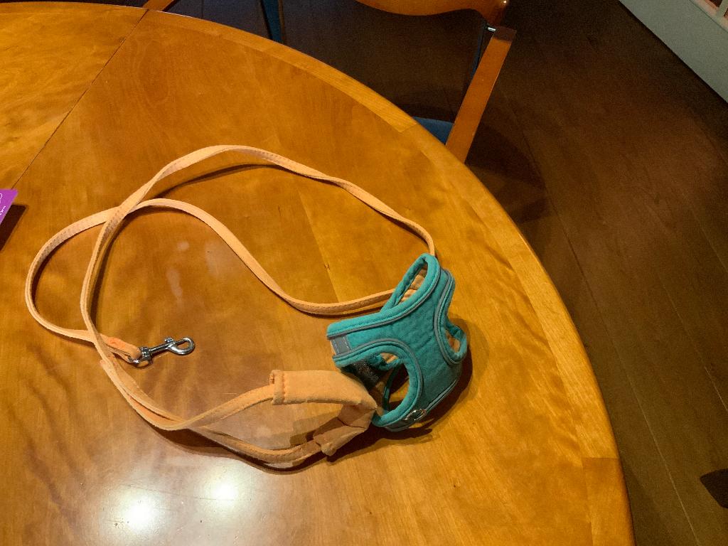 kattentuigjes voor kittens, Dieren en Toebehoren, Ophalen, Zo goed als nieuw