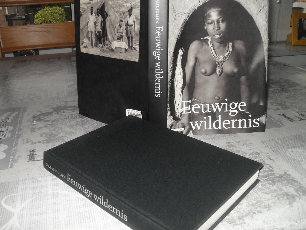 BOEK PAUL JULIEN-EEUWIGE WILDERNIS., Ophalen of Verzenden, Zo goed als nieuw, Los deel, Overige onderwerpen