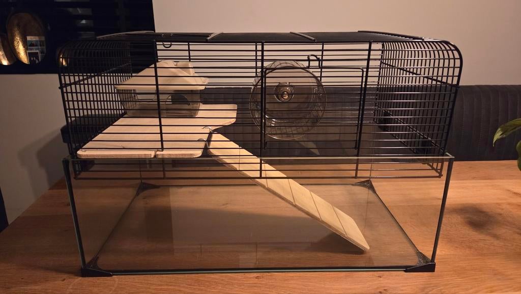 Nieuwe hamsterkooi, Minder dan 60 cm, Kooi, Ophalen of Verzenden, Hamster
