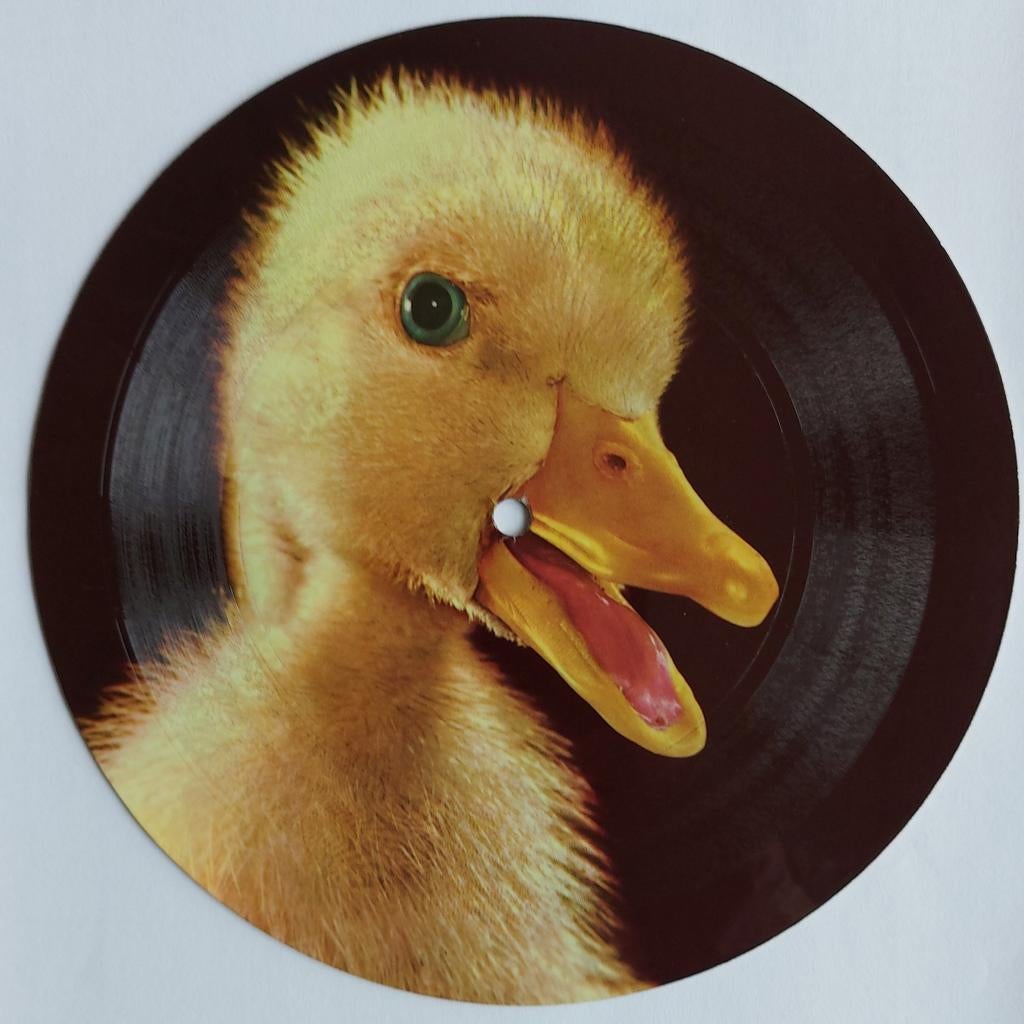 Citroën 2CV flexi disc - Het lelijke eendje, Gebruikt, 7 inch, Single, Ophalen of Verzenden