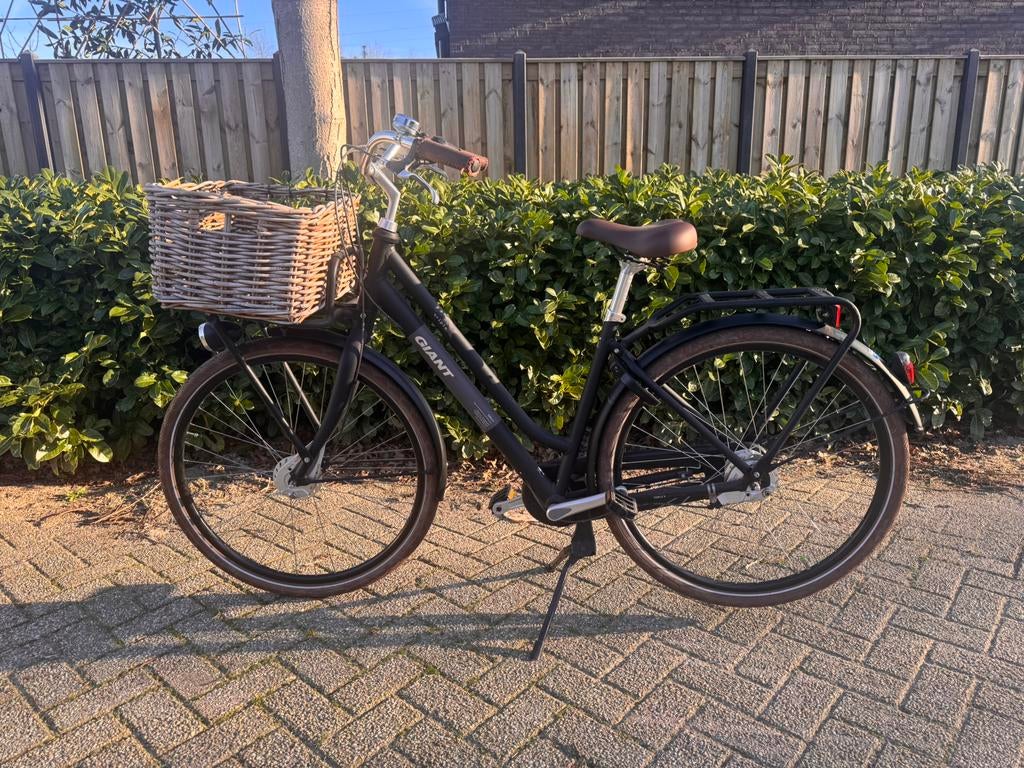 GIANT Damesfiets – Met Stuurslot & Rieten Mand, Fietsen en Brommers, Fietsen | Dames | Omafietsen, Gebruikt, 56 cm of meer, Handrem