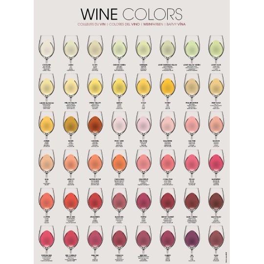Wijn Poster - Wine Colors - 60x75 cm, Ophalen, Nieuw, Frankrijk