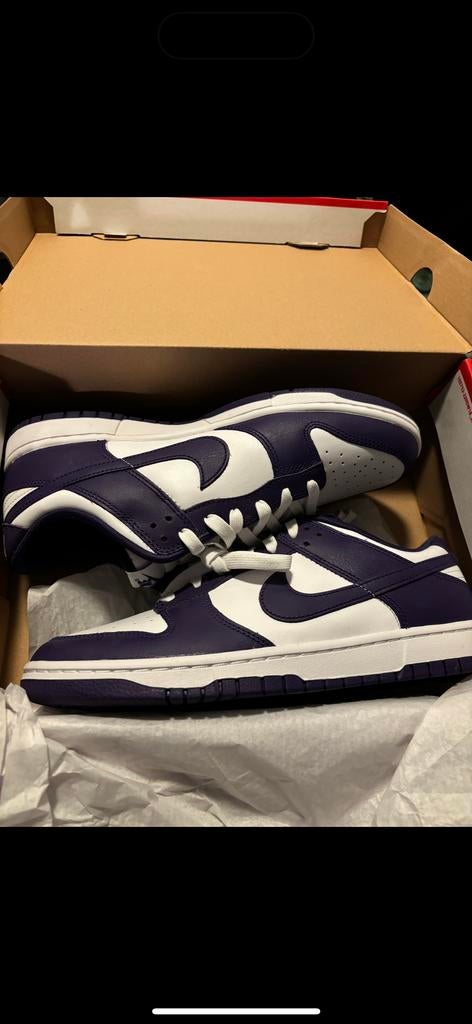 Nike Dunk - Maat 44 / US 10, Ophalen of Verzenden, Nieuw, Sneakers of Gympen