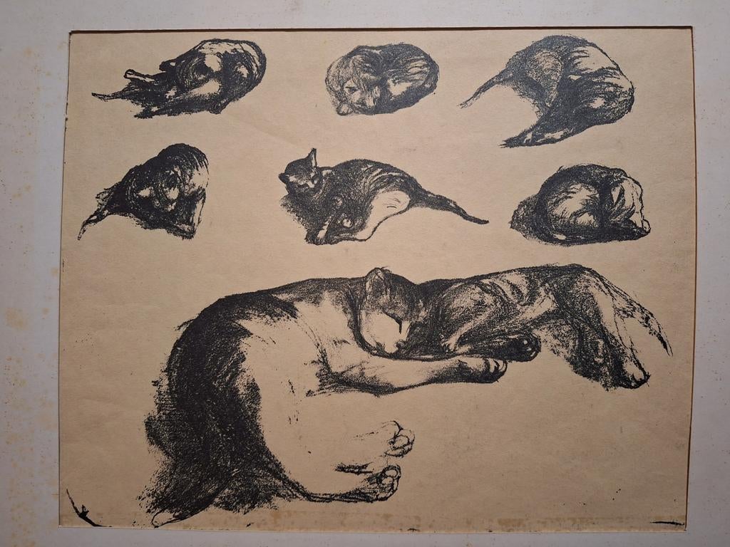 Litho van katten mogelijk H Ronner, Ophalen of Verzenden