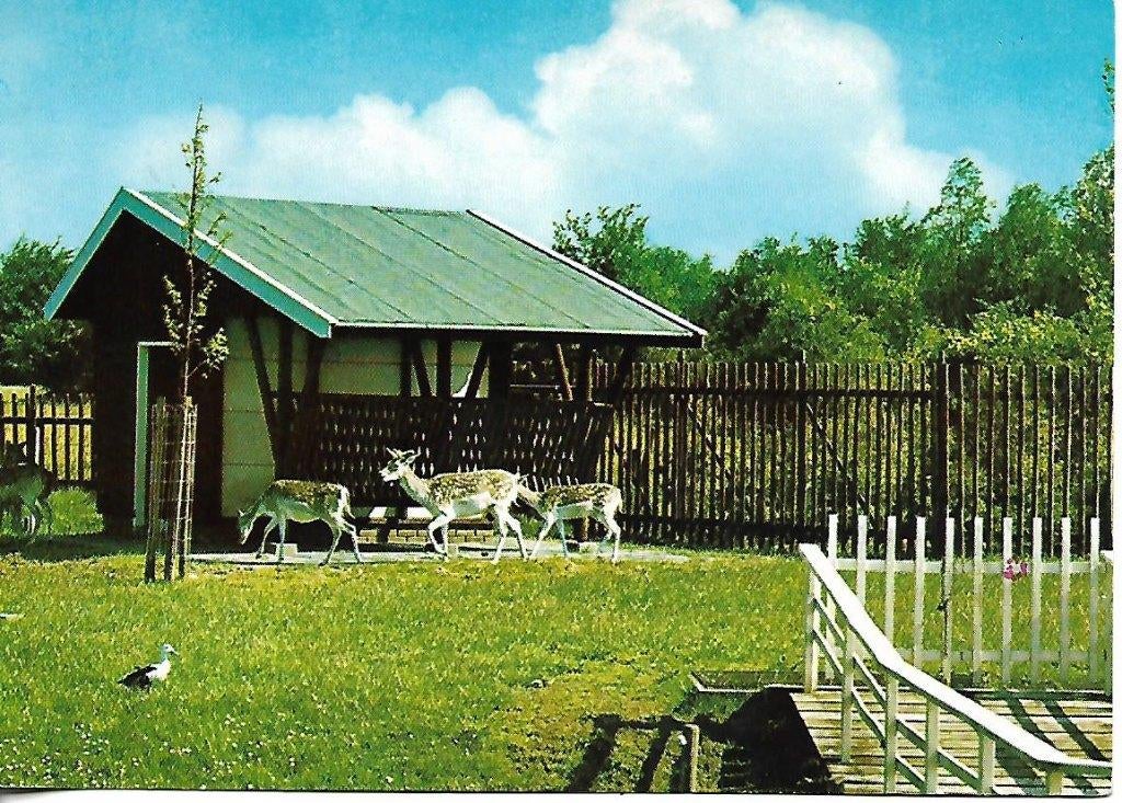 Haren- -Hertenkamp Beatrixoord., Verzenden, 1980 tot heden, Gelopen, Groningen