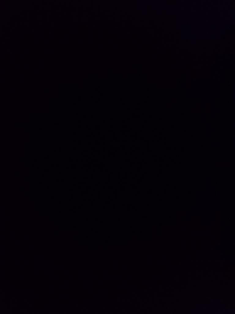 Wij zoeken een kitten max 100 euro omgeving hengelo, Eén persoon, Cadeaubon