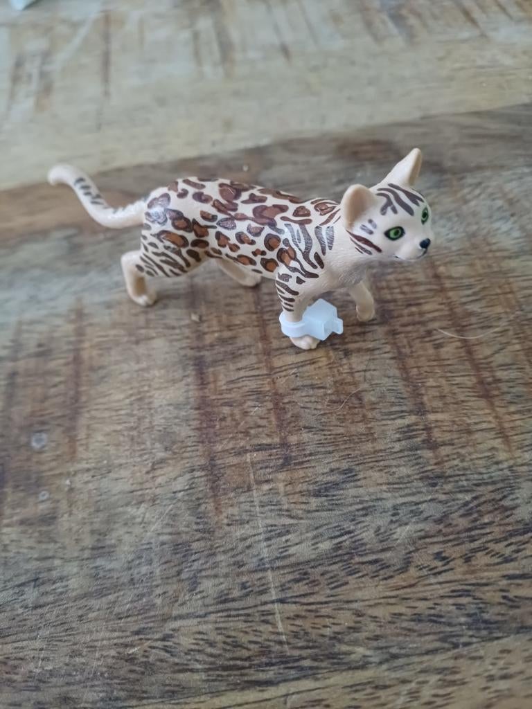 Schleich begaanse kat, Ophalen of Verzenden, Zo goed als nieuw, Hond of Kat, Beeldje of Figuurtje