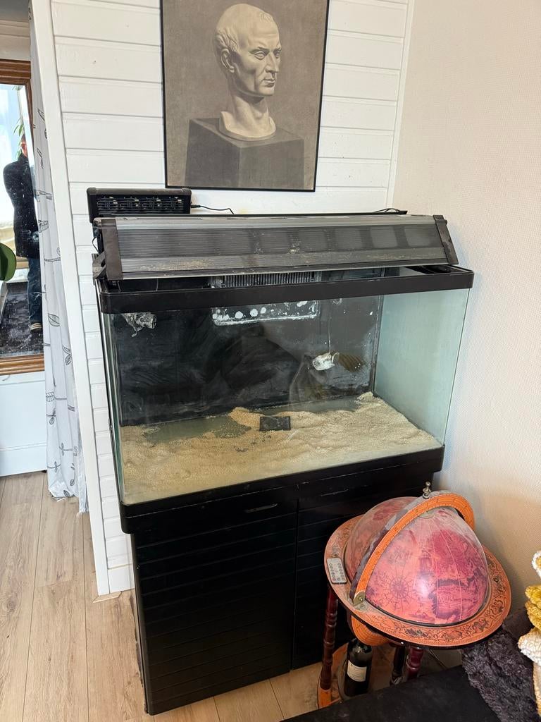 Zeeaquarium 260 liter, Ophalen, Gebruikt, Leeg aquarium