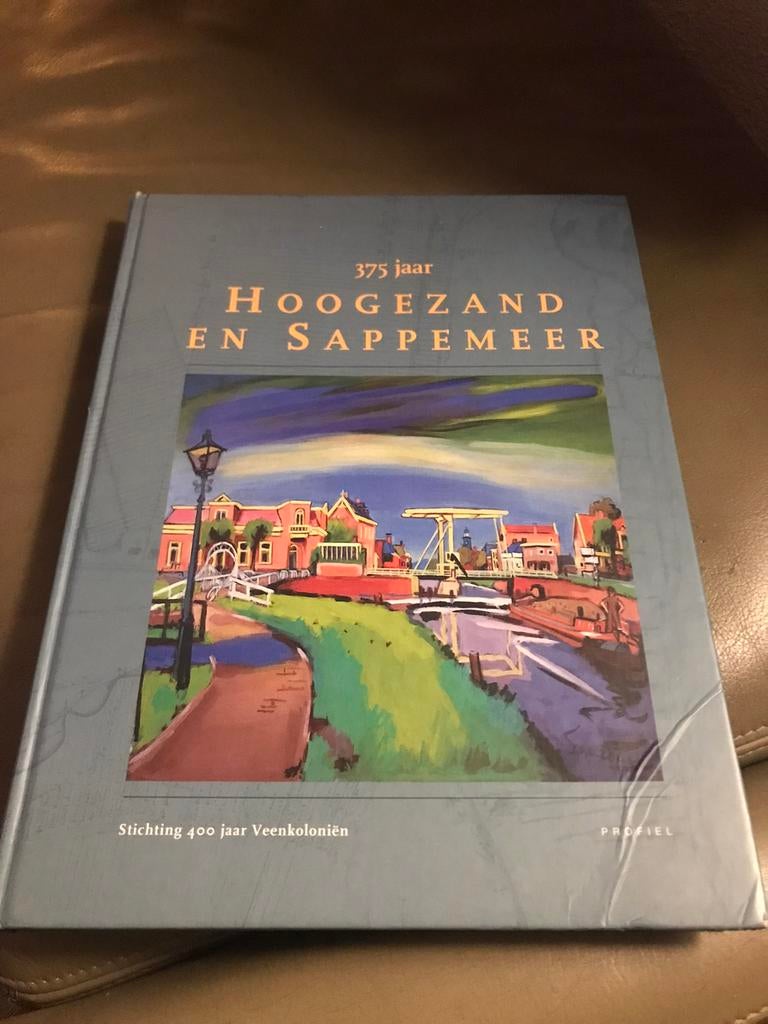 350 jaar Hoogezand en Sappemeer, Ophalen of Verzenden, Zo goed als nieuw