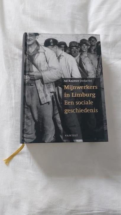 Mijnwerkers in Limburg, Boeken, Ophalen of Verzenden, Zo goed als nieuw