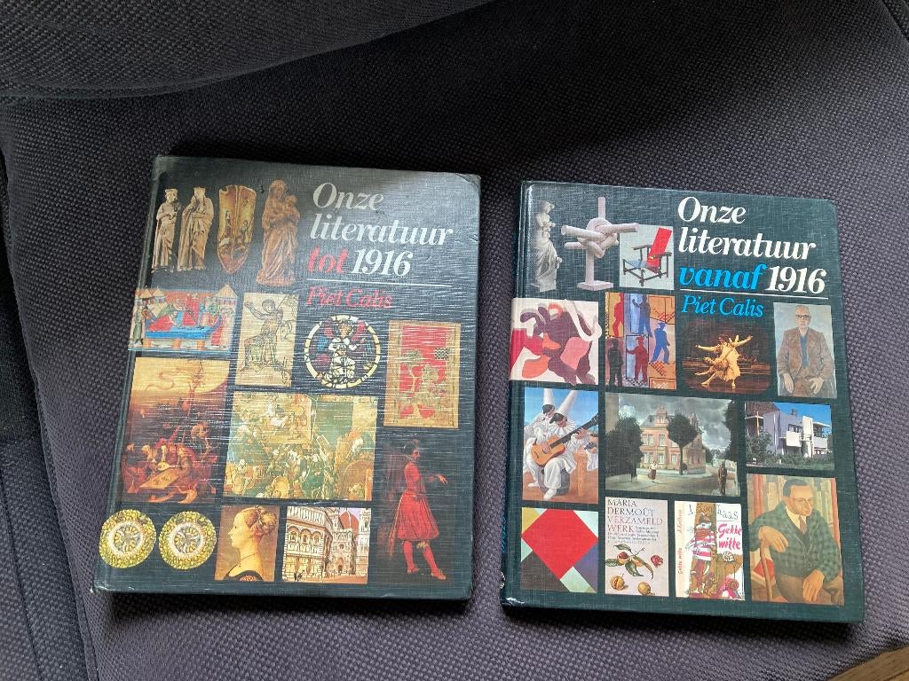 📜 Piet Calis - Onze literatuur, Boeken, Ophalen of Verzenden, Gelezen