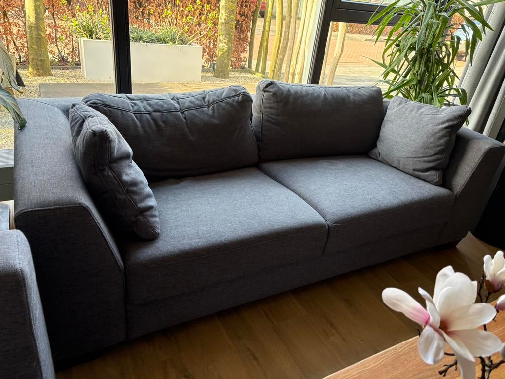 Bank grijs 2 zits afmeting 225 x 105 cm GRATIS, Ophalen, Gebruikt, 100 tot 125 cm, Tweepersoons