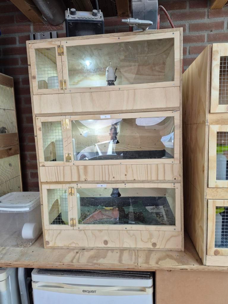 3 voudige opfokkooi voor kuikens, Ophalen, 110 cm of meer, Hok, Minder dan 60 cm