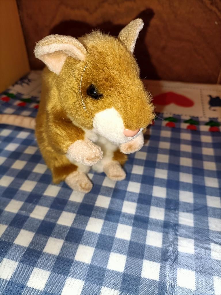 Rat knuffel WWF Wereld Natuur Fonds, Ophalen of Verzenden, Zo goed als nieuw, Overige typen