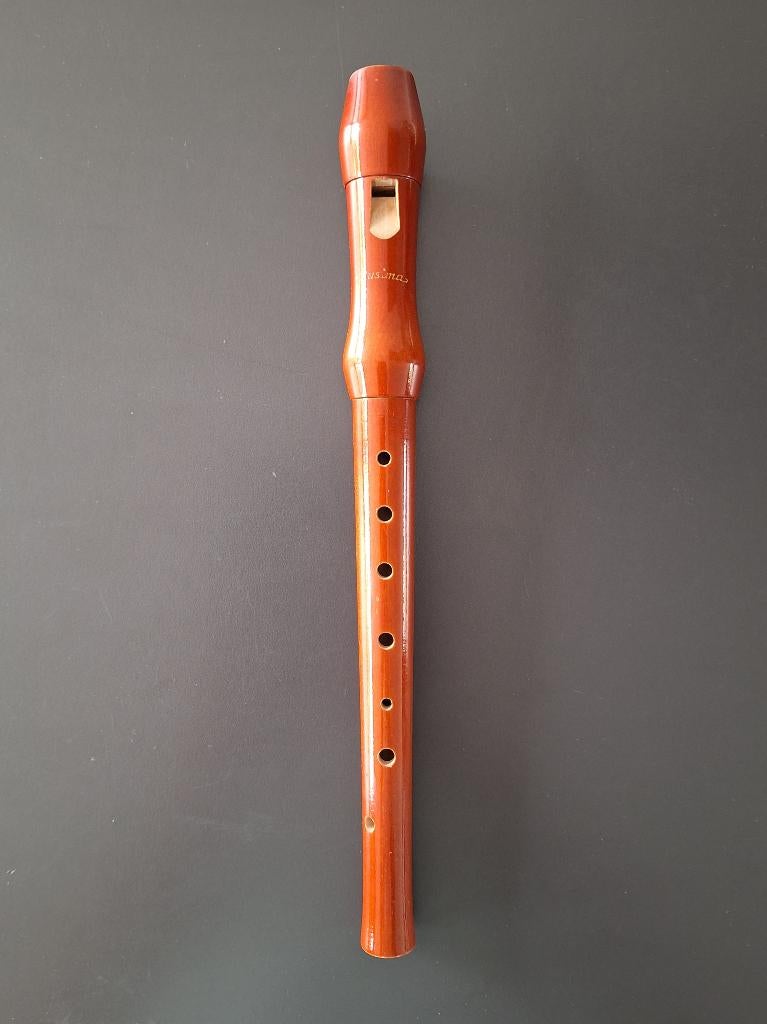 div. vintage houten sopraan blok-fluit Musima Moeck 30€/st, Muziek en Instrumenten, Blaasinstrumenten | Blokfluiten, Ophalen of Verzenden