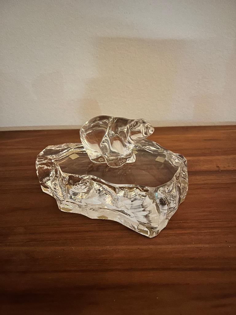 Handeland polar beer om ijs, Ophalen of Verzenden