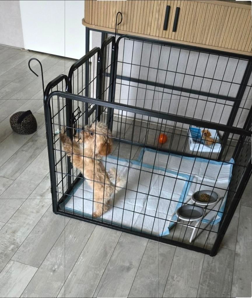 Puppyren 60x60 cm, Dieren en Toebehoren, Hondenhokken, Ophalen, Zo goed als nieuw, 110 cm of meer, Minder dan 65 cm