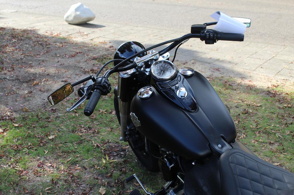 Harley-Davidson Softail FLS Softail Slim - foto 3