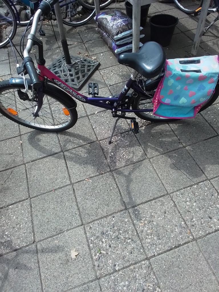 Pegasus Meisjesfiets, Ophalen, Gebruikt, 24 inch, Versnellingen