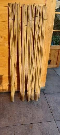 Bamboestokken, Ophalen, Gebruikt, Minder dan 180 cm, Palen